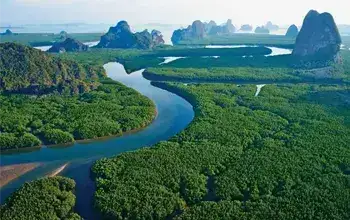 New Palm Beach Airoli