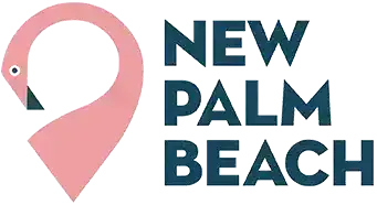 New Palm Beach Airoli Logo