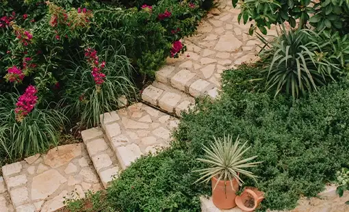 Delta Palm Beach Airoli Images